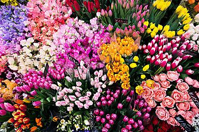 《苍之彼方的四重奏 EXTRA2》推出NS版 2023年5月25日发售