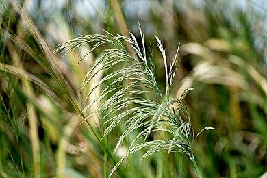 SIE PS5展示会要来了 9月10日凌晨4点开始