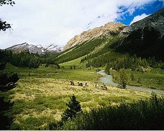 《魔咒之地》升级档优化性能表现 降低CPU与显卡压力